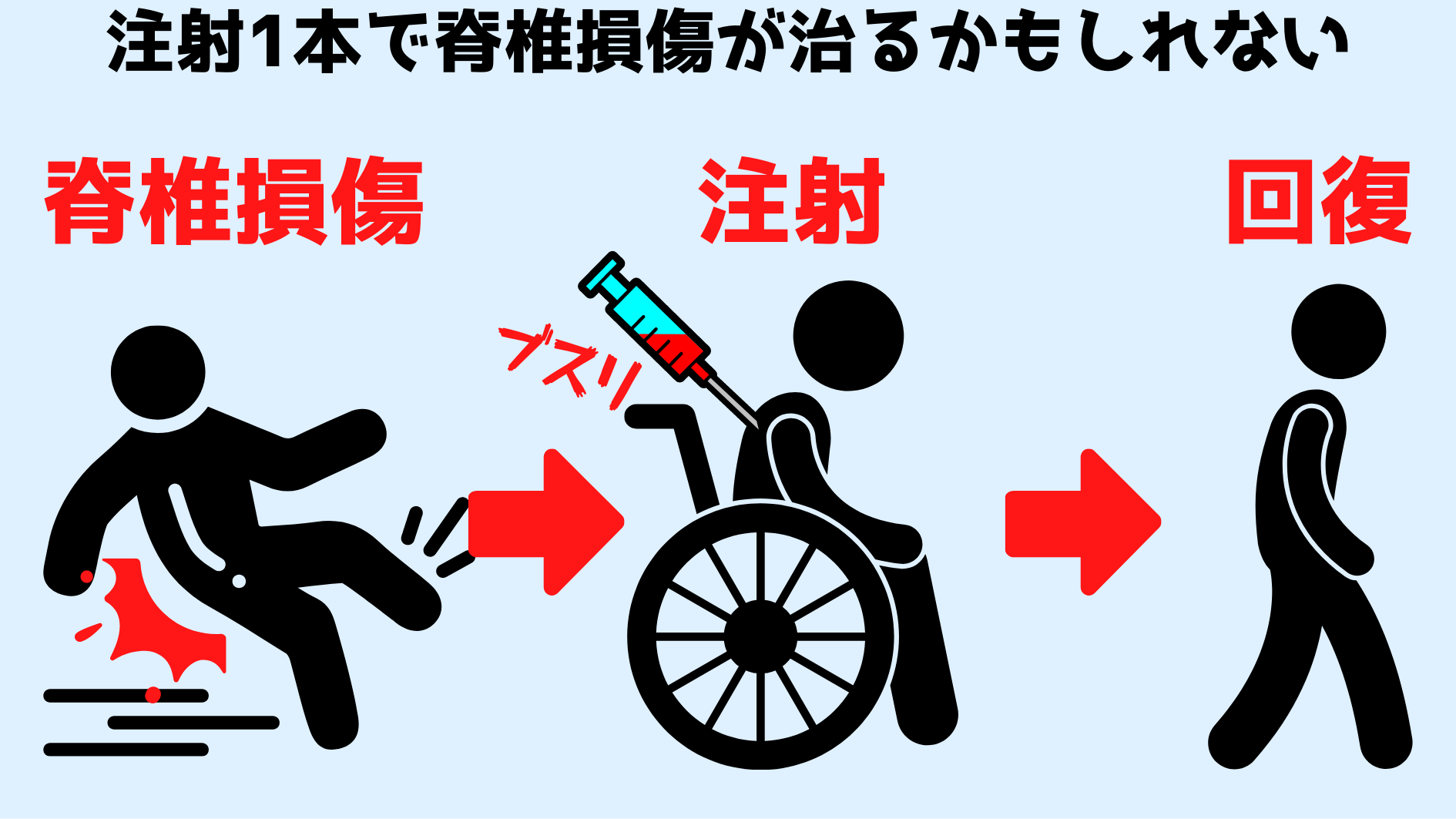 人間も注射1本で脊椎損傷を回復できるかもしれない