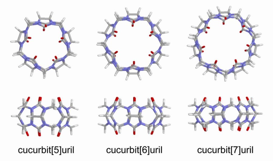 ククルビツリルの構造を表したコンピュータモデル。上は空洞部分、下は側面から見たもの。