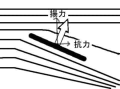 翼に風が当たると揚力が発生する