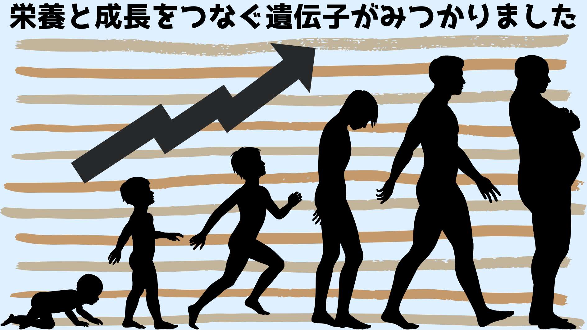 100年前より背が高く思春期が早くなった理由を解明！　栄養と成長をつなげるメカニズム