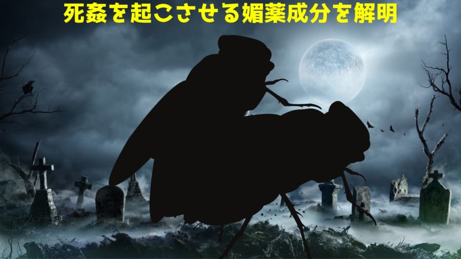 死強姦 