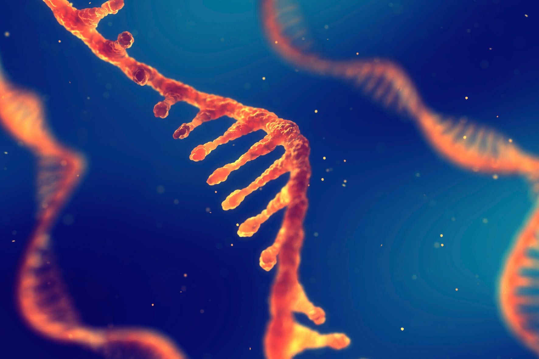 アブラムシの生物学 アブラムシの生物学 | 石川 統 |本 | 通販 | Amazon