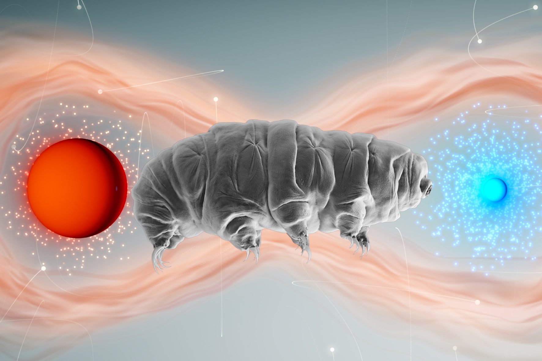 Web site image