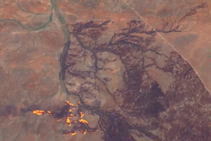 FireShot Capture 254 – AustralianBushfires1.jpg (700×470) – www.sciencealert.comの画像