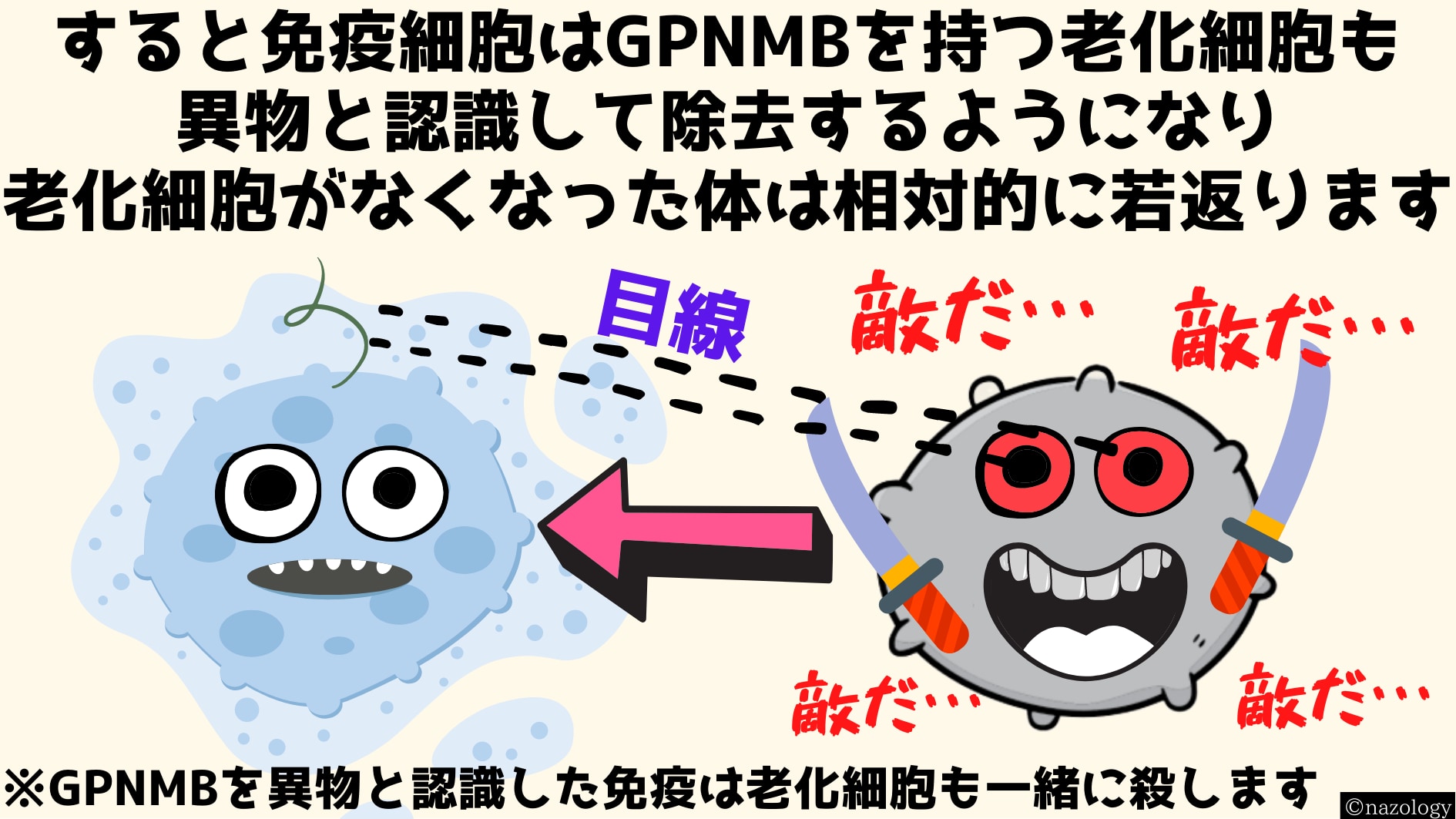 老化を予防する「抗老化ワクチン」の開発に成功！　順天堂大学