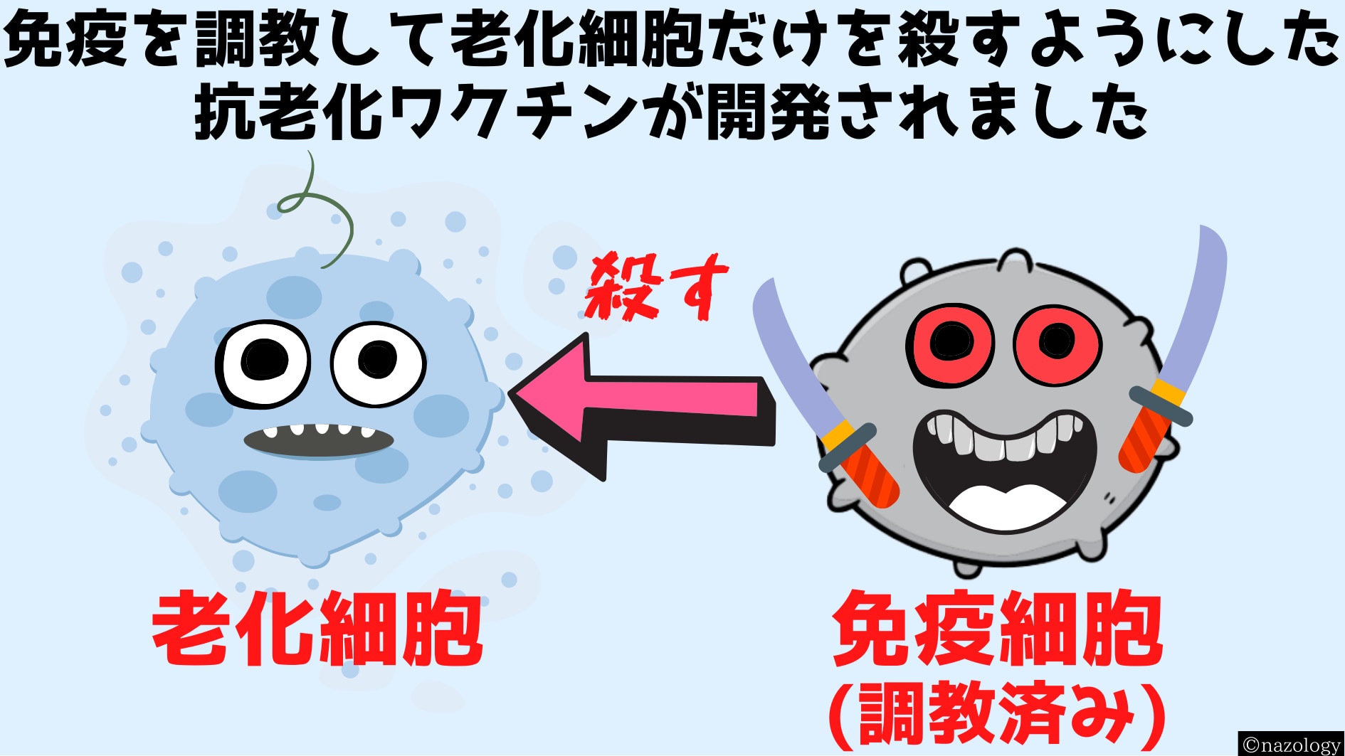 老化を予防する「抗老化ワクチン」の開発に成功！　順天堂大学