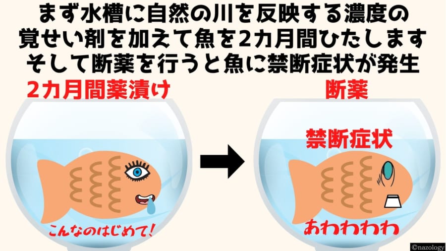 覚せい剤は魚も「ヤク漬け」にすると明らかに