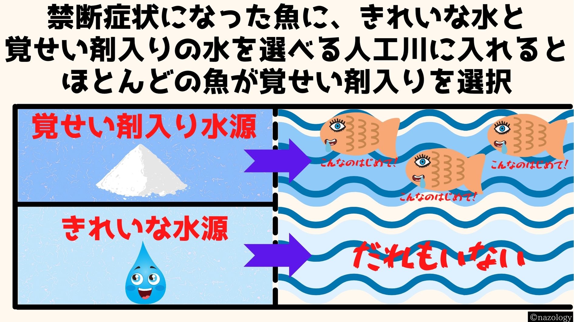 覚せい剤は魚も「ヤク漬け」にすると明らかに