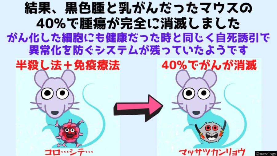 「半殺し」にしたがん細胞を体に戻すと免疫療法が上手くいくと判明！