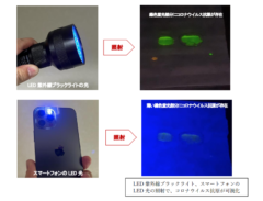 LEDブラックライトやスマホのLED光でも判別可能