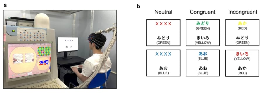 実験の様子（a）、ストループ課題（b）