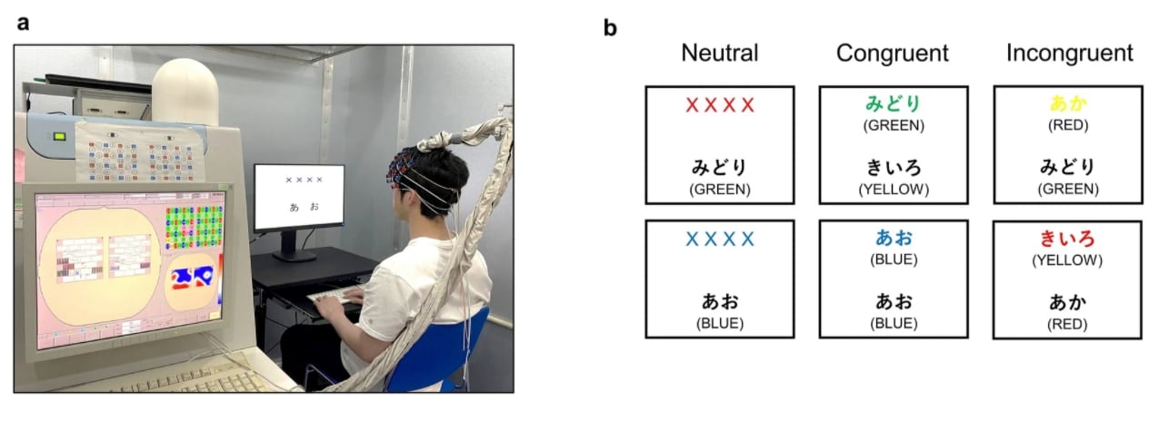 実験の様子（a）、ストループ課題（b）