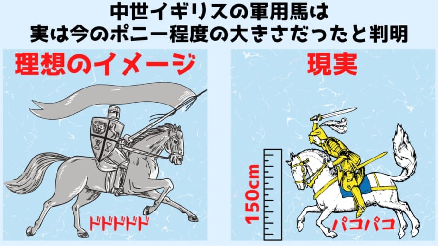 イメージ崩壊？　中世英国騎士の軍馬は「ポニーサイズ」だった