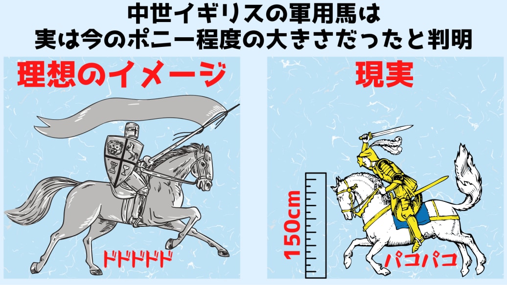 中世イギリスの軍馬はポニーサイズだった