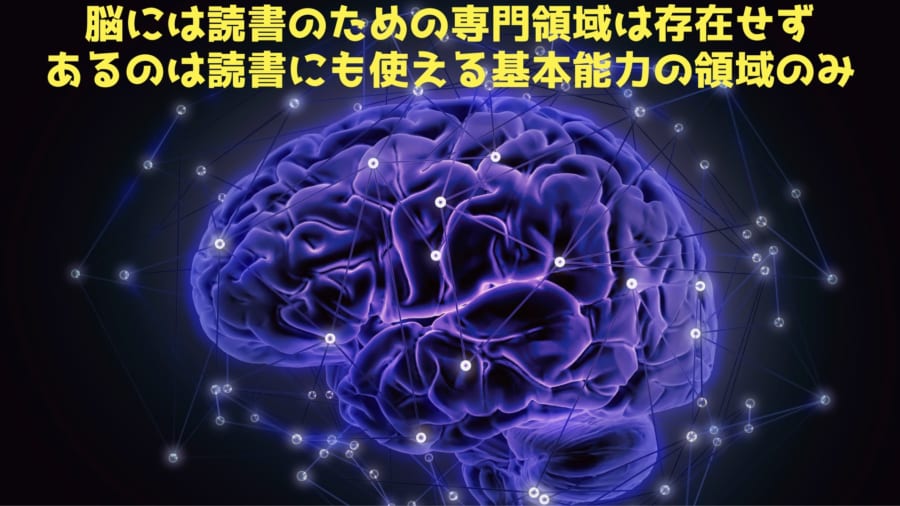 人類の脳には厳密な意味での「読書領域」は存在しない