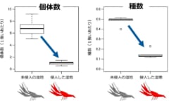 個体数、種数ともに激減