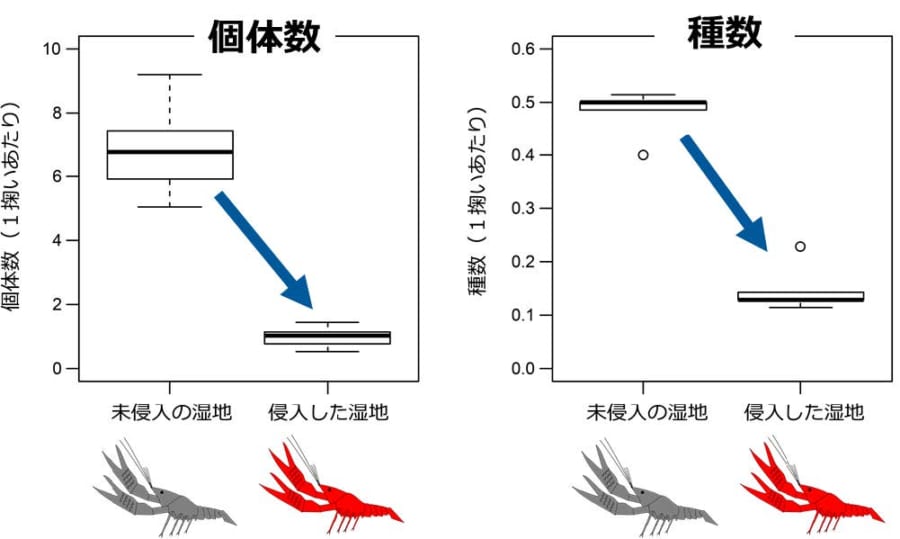 個体数、種数ともに激減