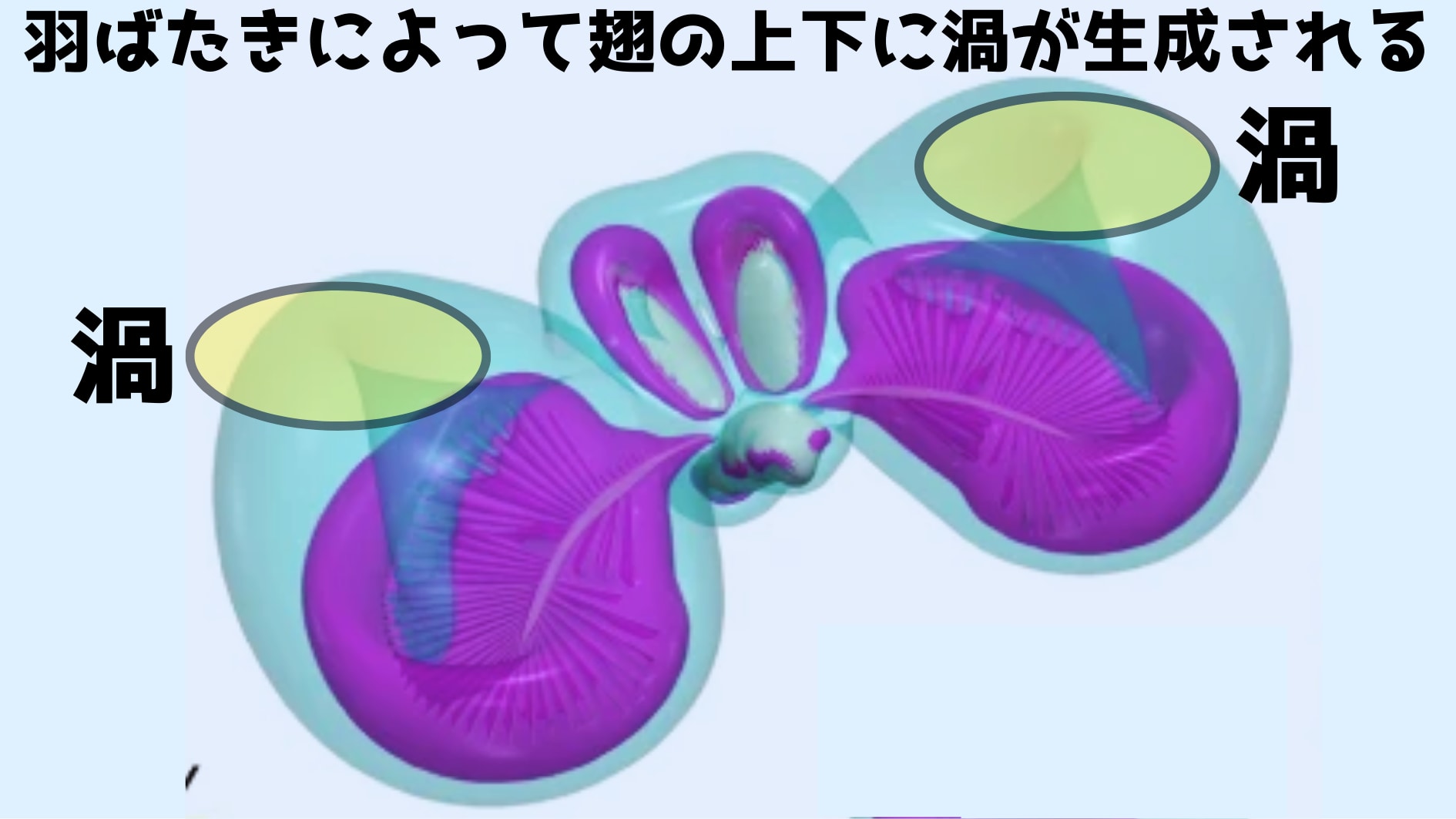 自分で作った渦に自分を吸わせる