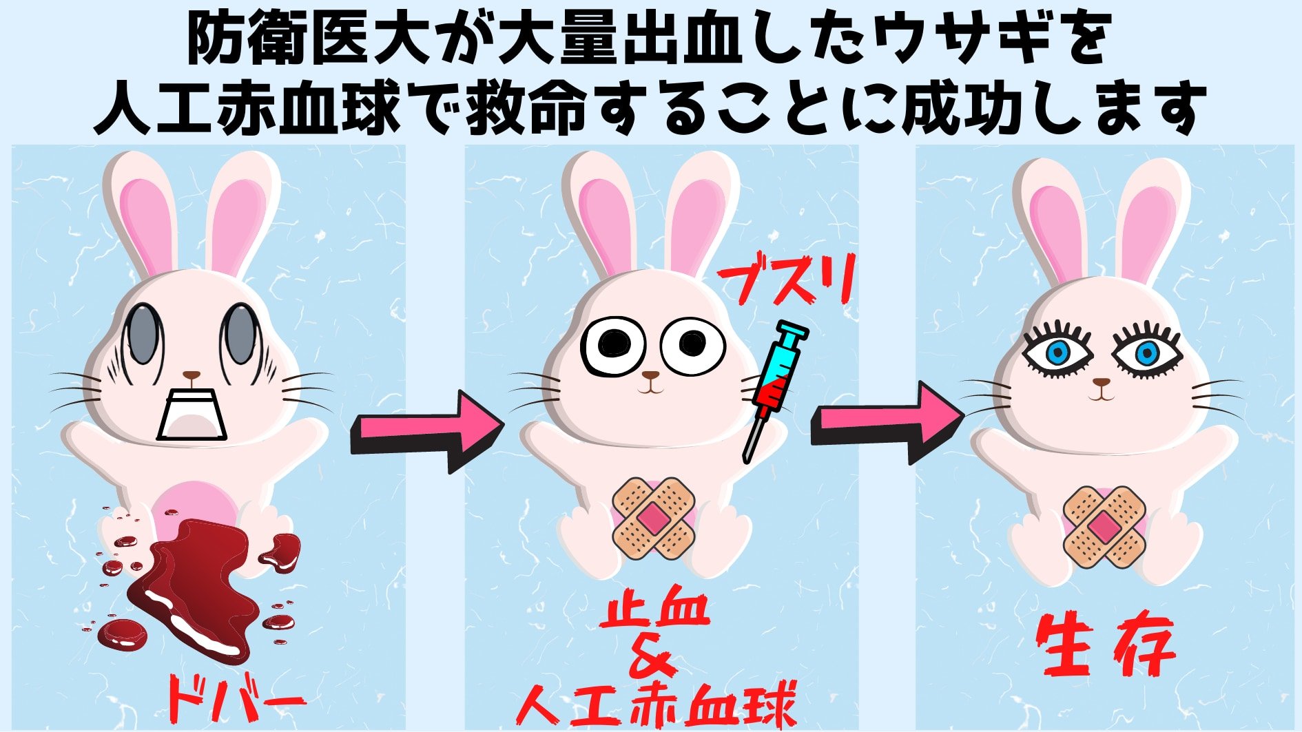 防衛医大が人工赤血球で大量出血したウサギを救命成功！