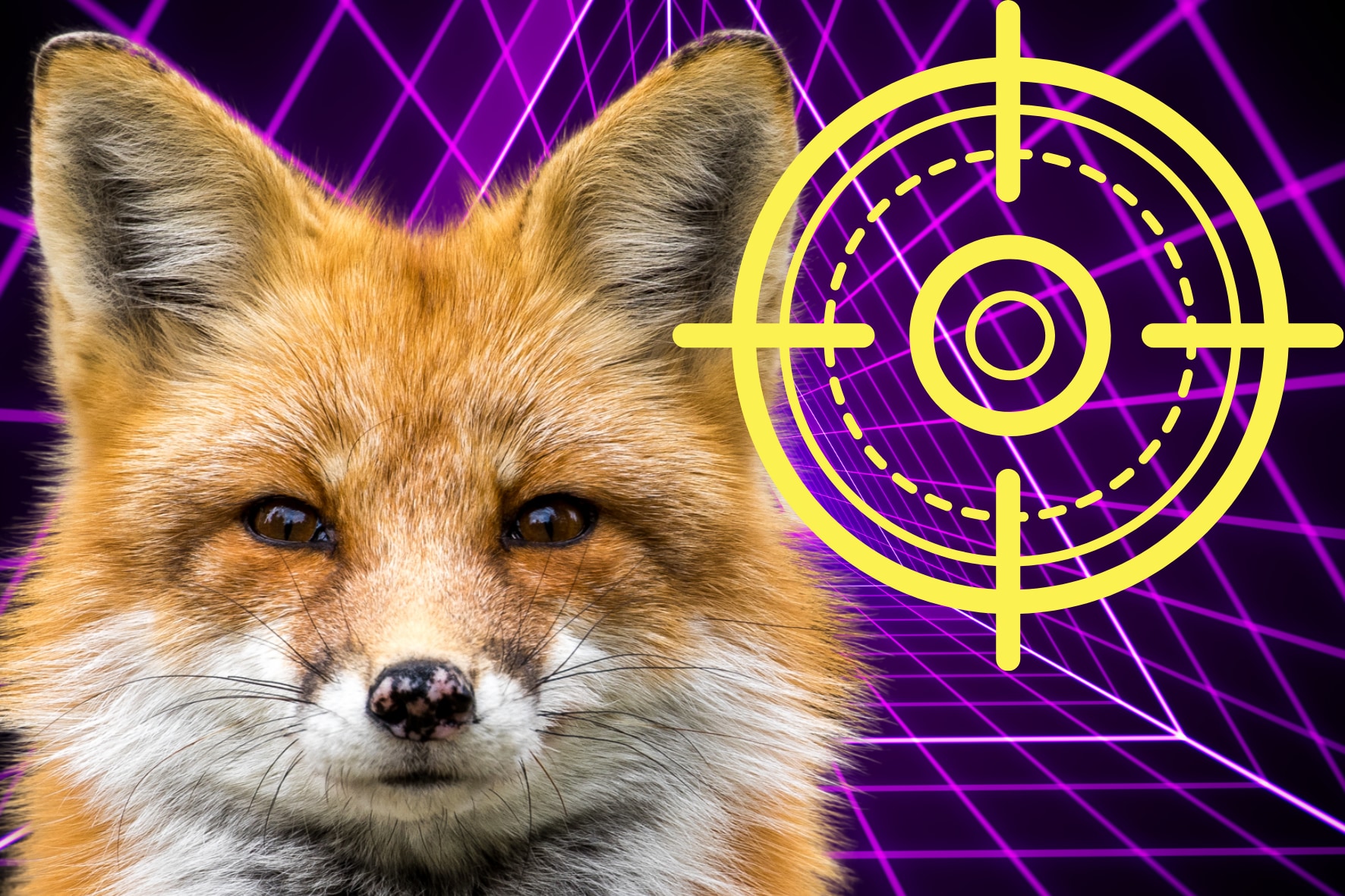 キツネの視覚には「ターゲットハッド」が存在する可能性 - ナゾロジー