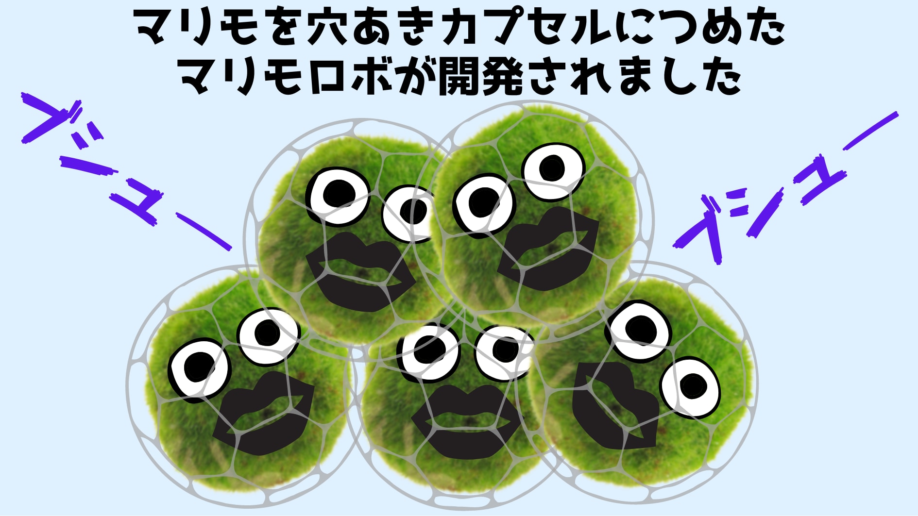 光をあてると動き回るマリモロボを開発！　動力は光合成