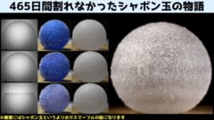 約1年半持続する割れないシャボン玉の作成に成功！の画像 1/3