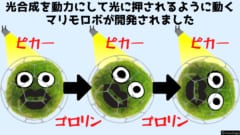 光をあてると動き回るマリモロボを開発！　動力は光合成