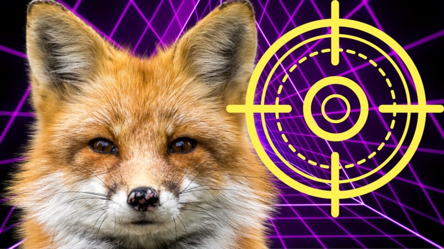 キツネの視覚には「ターゲットハッド」が存在する可能性 - ナゾロジー
