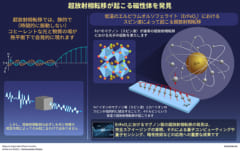 今回の研究の概要図