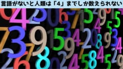 言語がないと人間は「4」までしか数えられない