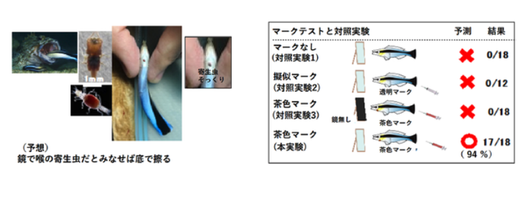 追加テストの結果