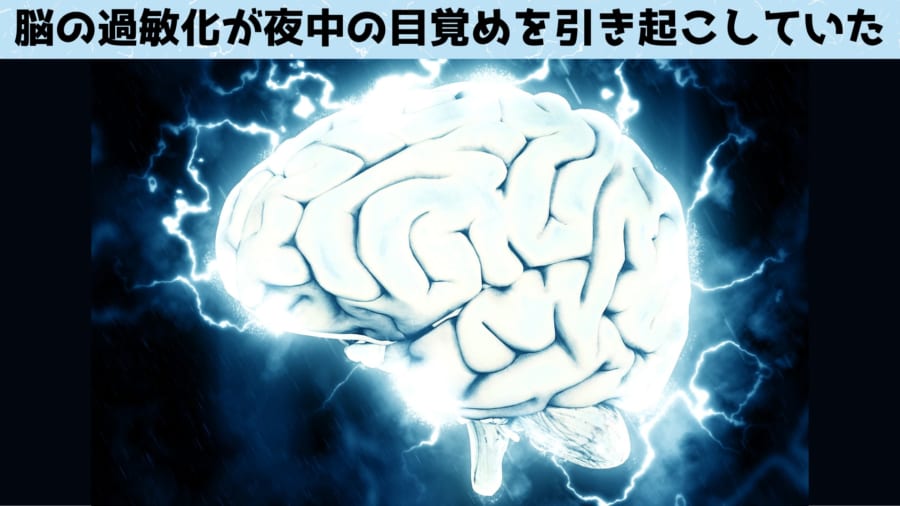 脳細胞が過敏化して「覚醒信号の早漏」を引き起こす