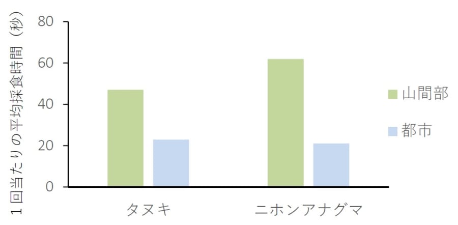 タヌキと二ホンアナグマが落下果実の採食行動を行う際の1回あたり平均採食時間