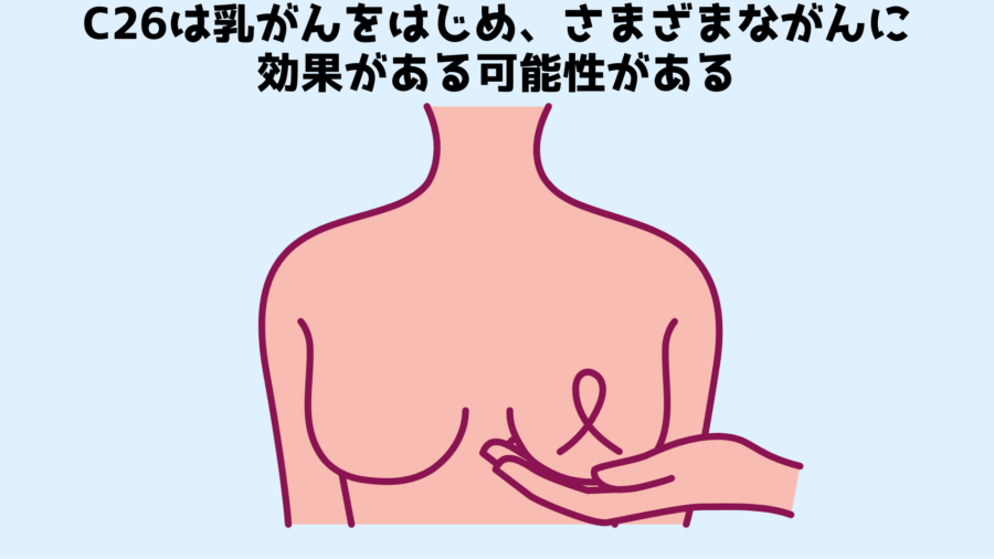 C26は特に乳がんに対して効果が高いと期待される