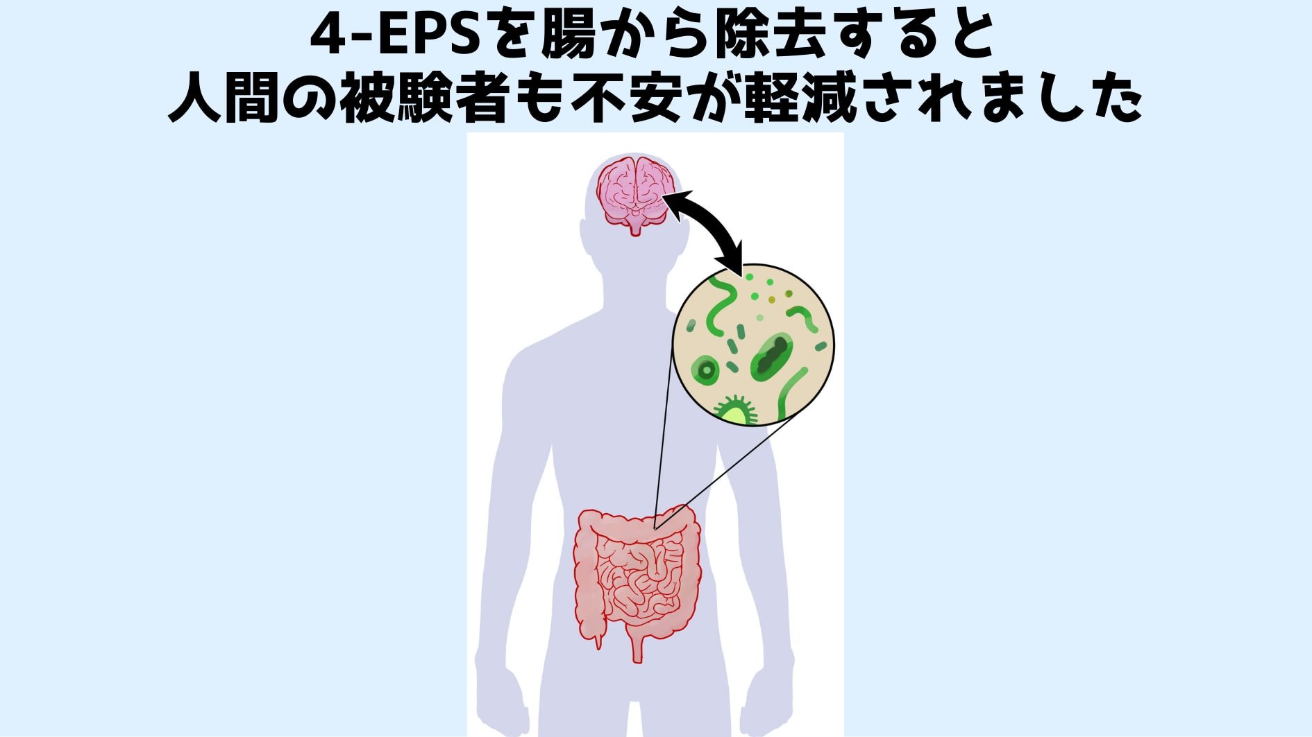 腸内細菌は人間の不安レベルも制御していた