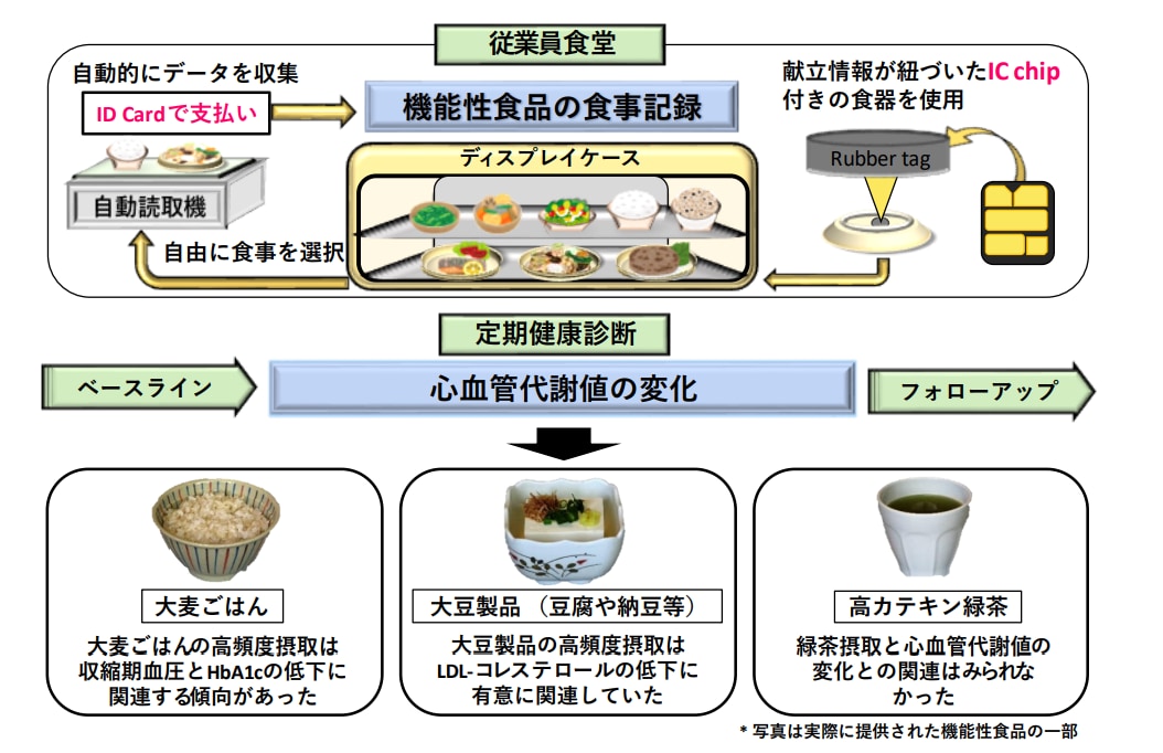 大豆製品と大麦ごはんを1回食べるごとに、心血管代謝値が改善する