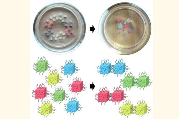 DNAを接着剤にして勝手にくっつくブロックを開発！