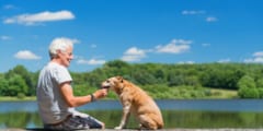 犬を飼うと心身の障害リスクがほぼ半減すると判明！