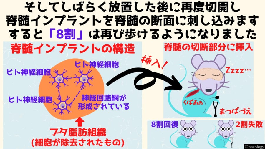 人間の1年にあたる期間を放置していました