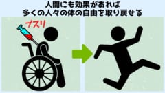 数年後には人間での臨床試験が開始される予定