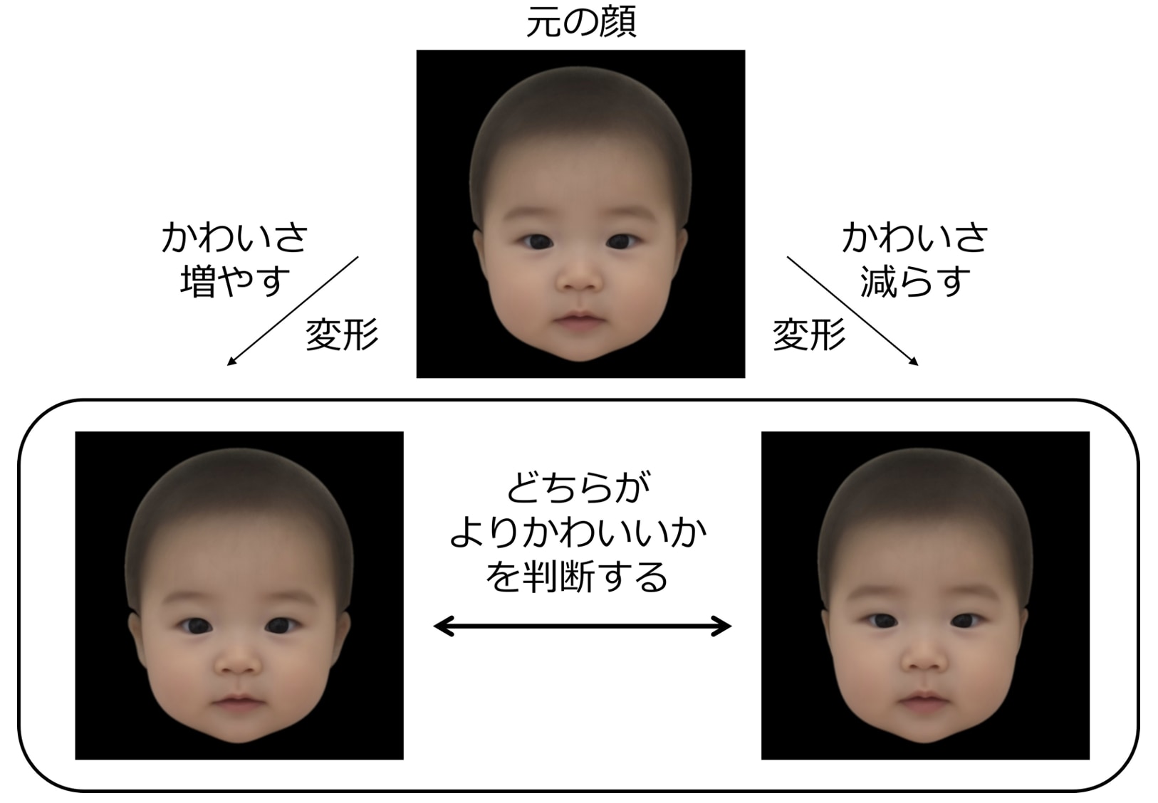 かわいさの特徴にもとづいて加工写真を作成