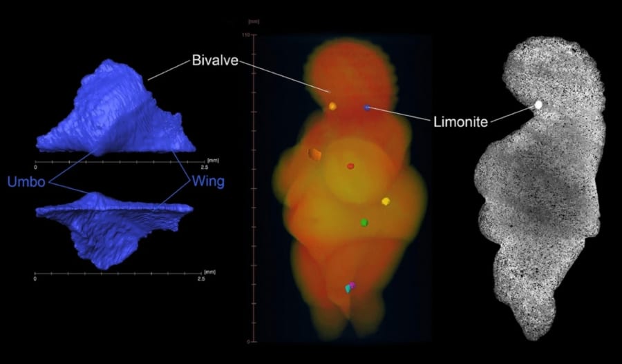 マイクロCTでヴィーナス像の内部を分析