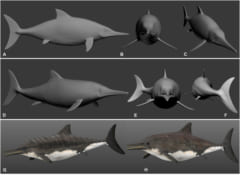 まずはデジタル上で3Dイメージの型を作る