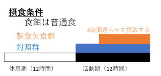 片方のマウスには朝食を与えない