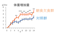 朝食抜きのグループは体重が増加した