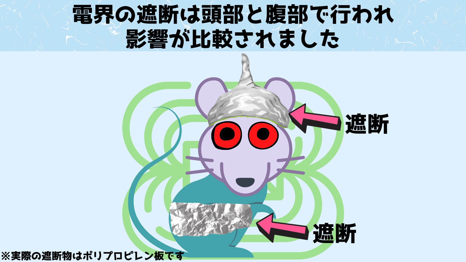 ティンホイールハットには電磁波を一定程度遮断する効果がありますが、今回の実験では電界を遮断するためにポリプロピレンの薄いシートが使われました。電磁波と電界は異なります