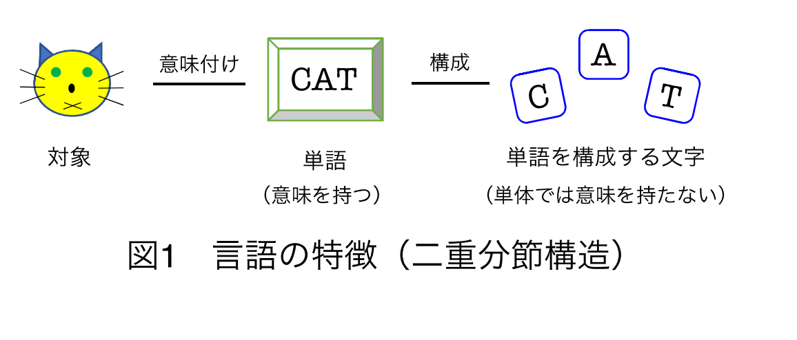 言語の二重分節構造。単品では無意味な文字（記号）の組み合わせから意味を持つ単語は作られる。