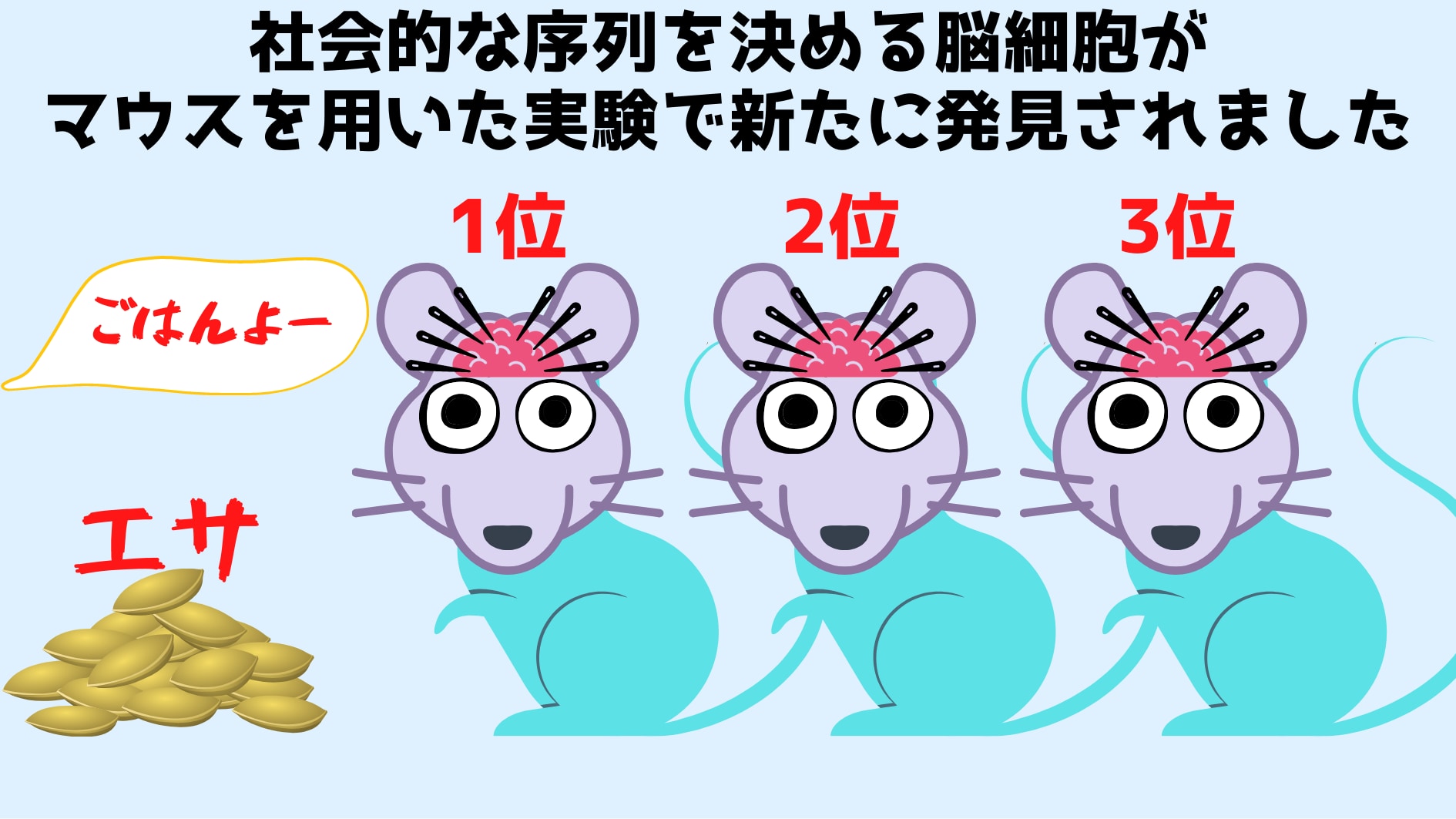 脳を操作する薬でマウスの社会的な「序列」を変更することに成功！