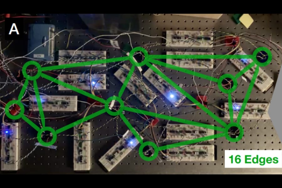 「超簡単な電気回路で作られたニューラルネット」が花の種類を学習して判別！