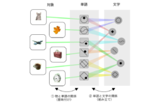 研究で使用された図形文字モデル